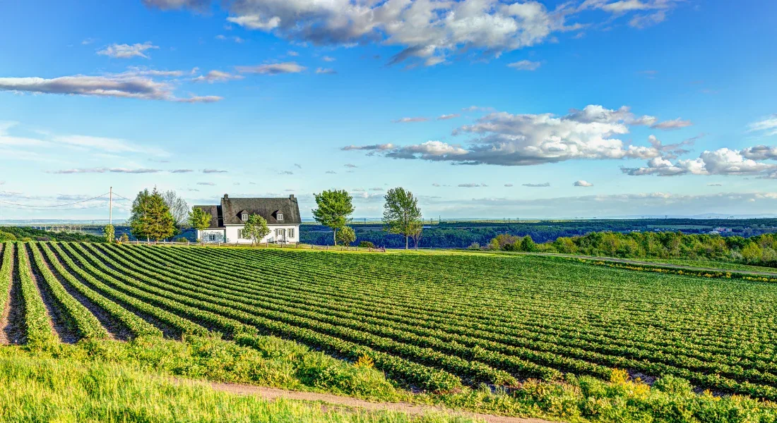 Paysage de l’Île d’Orléans